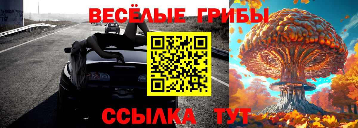 Меф Дальнереченск